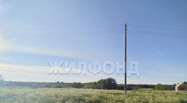 р-н Приморский д Часовенская фото р-н Приморский д Часовенская фото