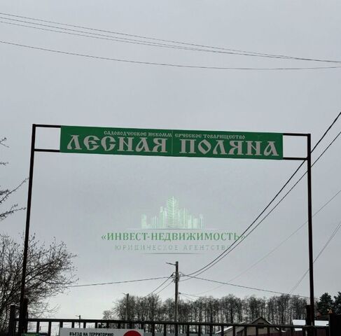 земля Нетьинское с/пос фото