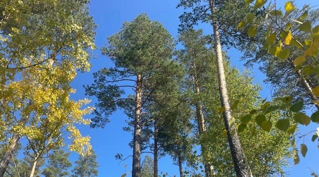 г Иркутск мкр Славный ул Перспективная р-н Правобережный фото г Иркутск мкр Славный ул Перспективная р-н Правобережный фото