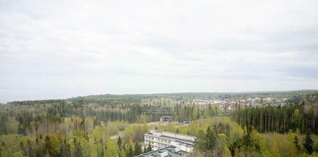 г Петрозаводск ул Кемская 25 фото г Петрозаводск ул Кемская 25 фото