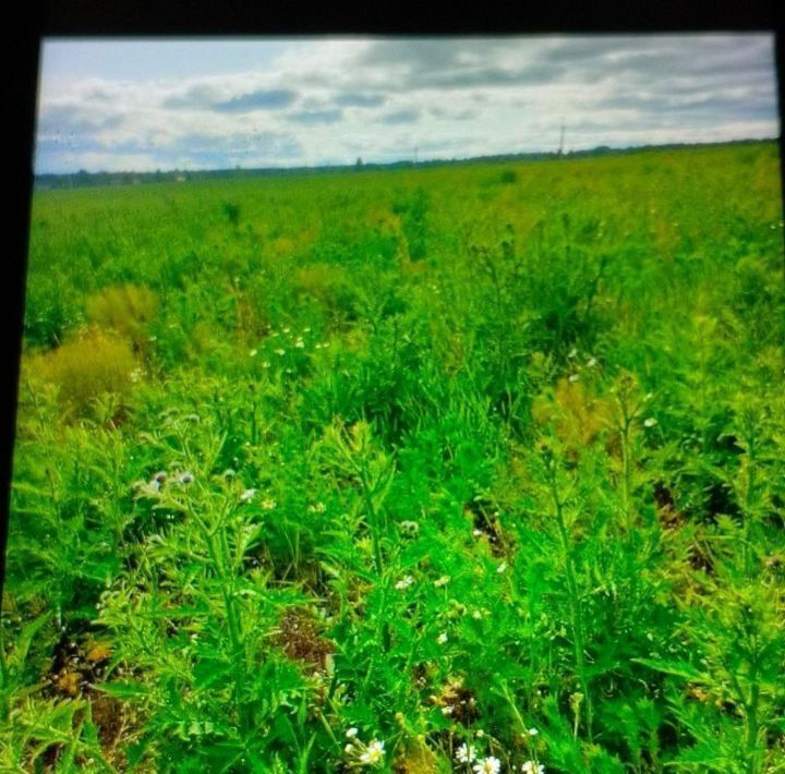земля р-н Вологодский п Заря фото 1