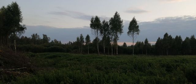 земля снт Поверитель 15, г. о. Солнечногорск, Менделеево фото