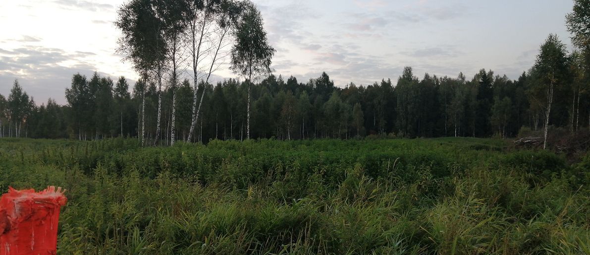 земля городской округ Солнечногорск д Никольское снт Поверитель 15, г. о. Солнечногорск, Менделеево фото 3