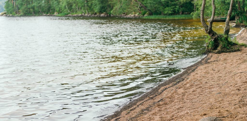 земля р-н Выборгский Приморское городское поселение, Сосновый пляж кп фото 3