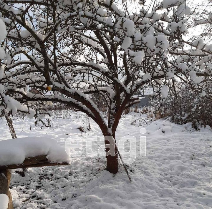 дом г Брянск р-н Бежицкий ул Бордовичская фото 13