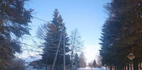 р-н Новгородский д Чайка Борковское с пос фото