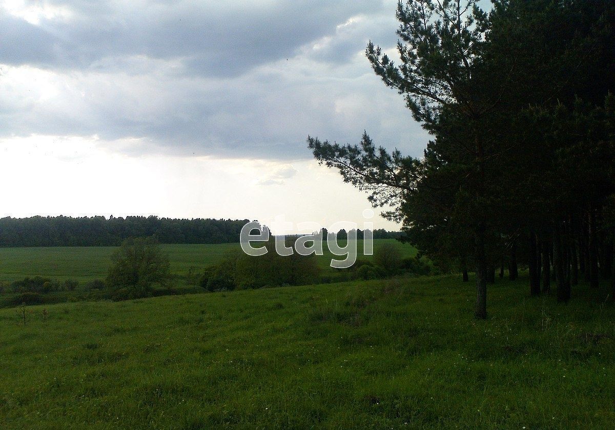 земля р-н Лямбирский с Тарасполь Пензятское сельское поселение, Лямбирь фото 2