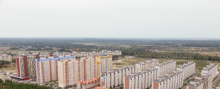 квартира г Воронеж р-н Железнодорожный ул Федора Тютчева 93/3 фото 13