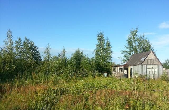 садово огородное товарищество Огородник -3, Тюменская обл. фото