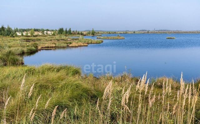 земля р-н Сургутский ДНТ "Сурмятино" Тюменская область, Сургут фото