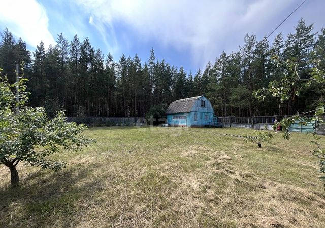 г Пенза р-н Железнодорожный дачное товарищество Маяковец-2, садовое фото