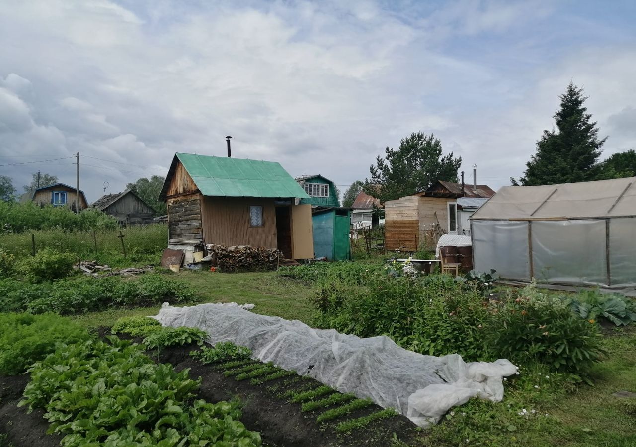 земля р-н Мошковский п Широкий Яр снт Яблоневый сад-2 Станционно-Ояшинский фото 5