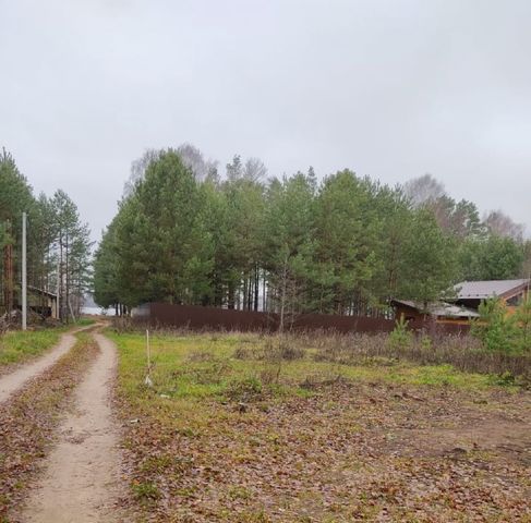 земля р-н Сокольский д Дресвищи ул Школьная фото