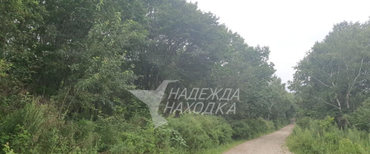 земля г Находка фото 3