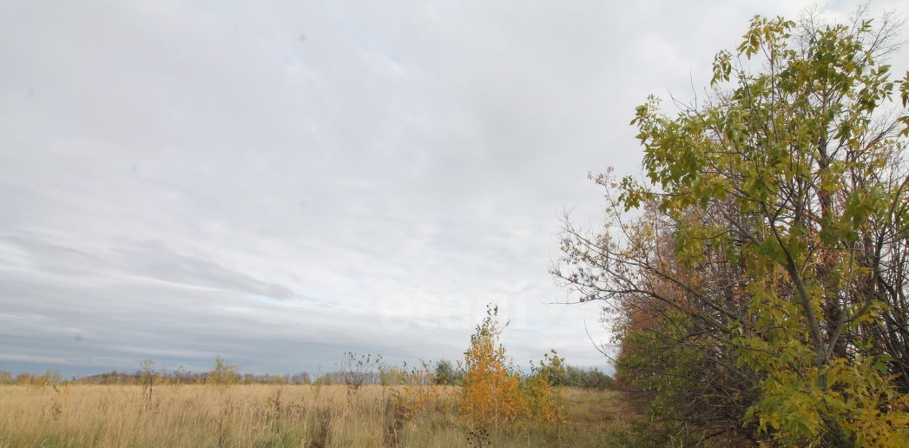 земля г Новоульяновск с Панская Слобода фото 2