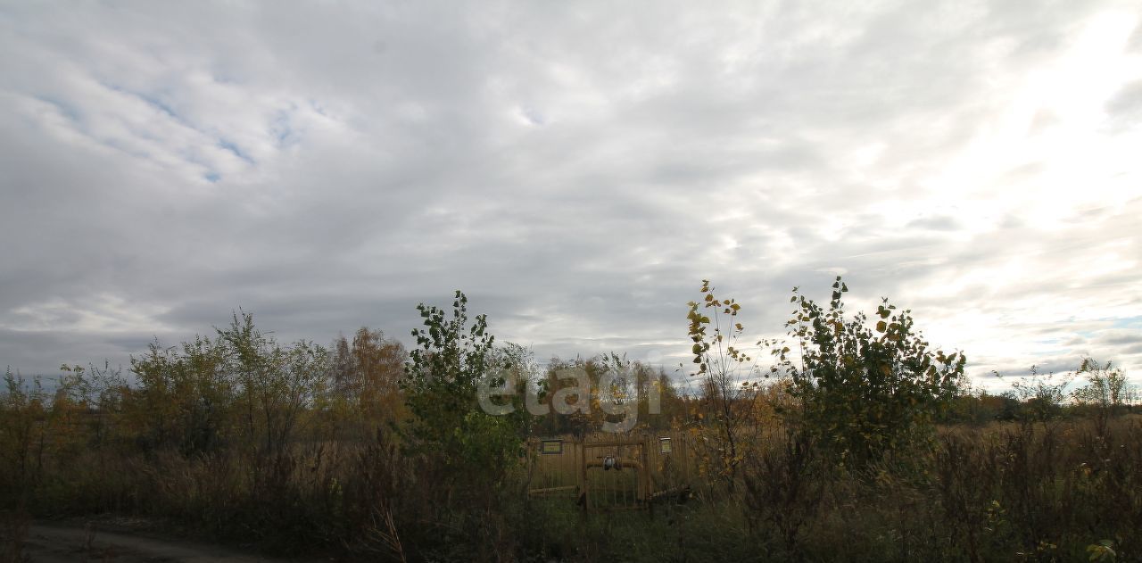 земля г Новоульяновск с Панская Слобода фото 17