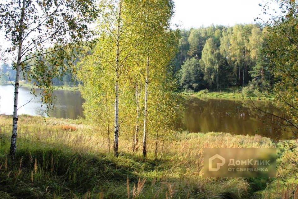 земля р-н Киржачский г Киржач ул Васильковая 6 фото 3