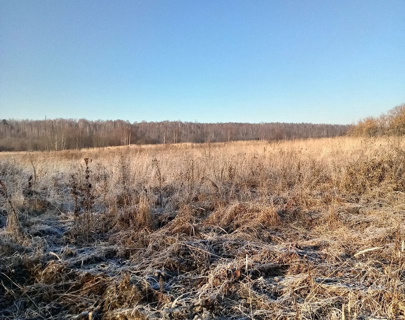 земля р-н Богородский фото 2