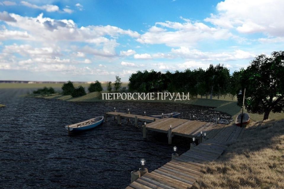 земля р-н Калининский с Петровское ул Новая фото 9
