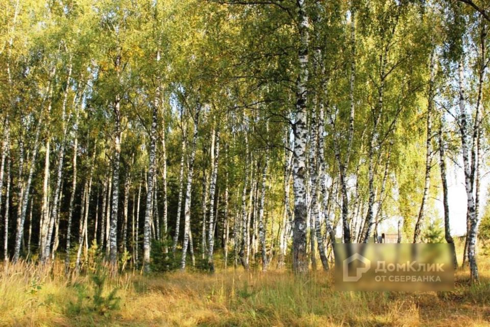 земля р-н Киржачский г Киржач ул Васильковая 19 фото 6