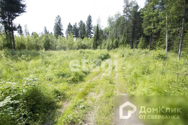 земля р-н Ханты-Мансийский д Шапша ул Молодежная фото 7