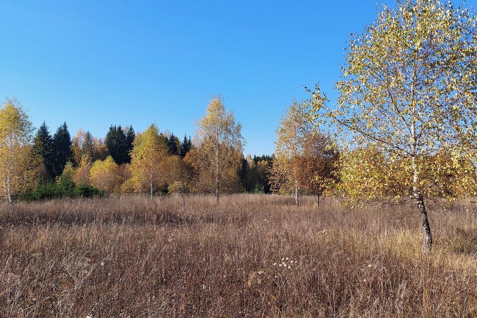 земля р-н Боровский фото 1