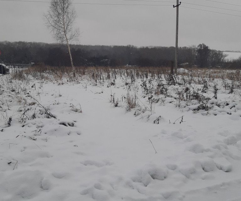 земля р-н Богородский г Богородск пер Центральный фото 4