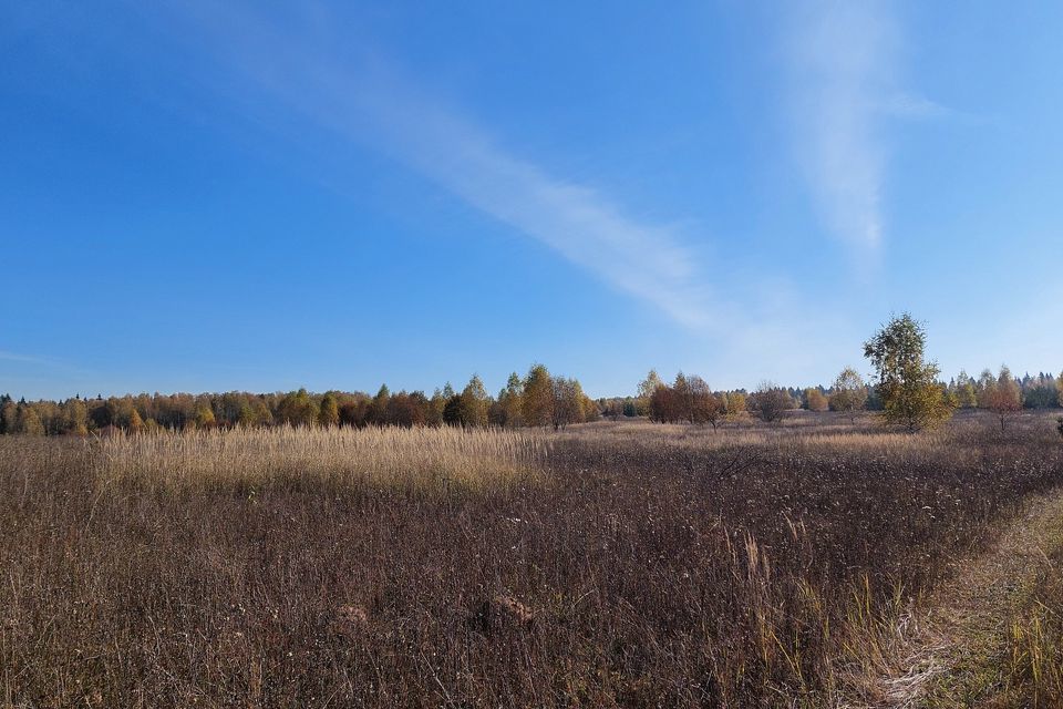 земля р-н Боровский фото 5