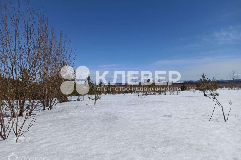земля р-н Чернушинский г Чернушка фото 1