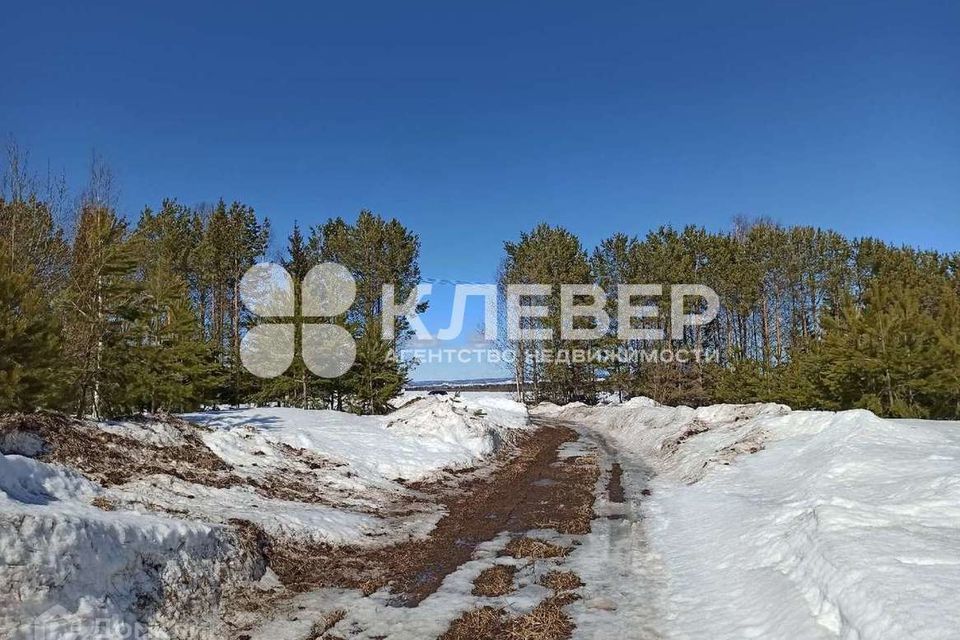 земля р-н Чернушинский г Чернушка фото 2