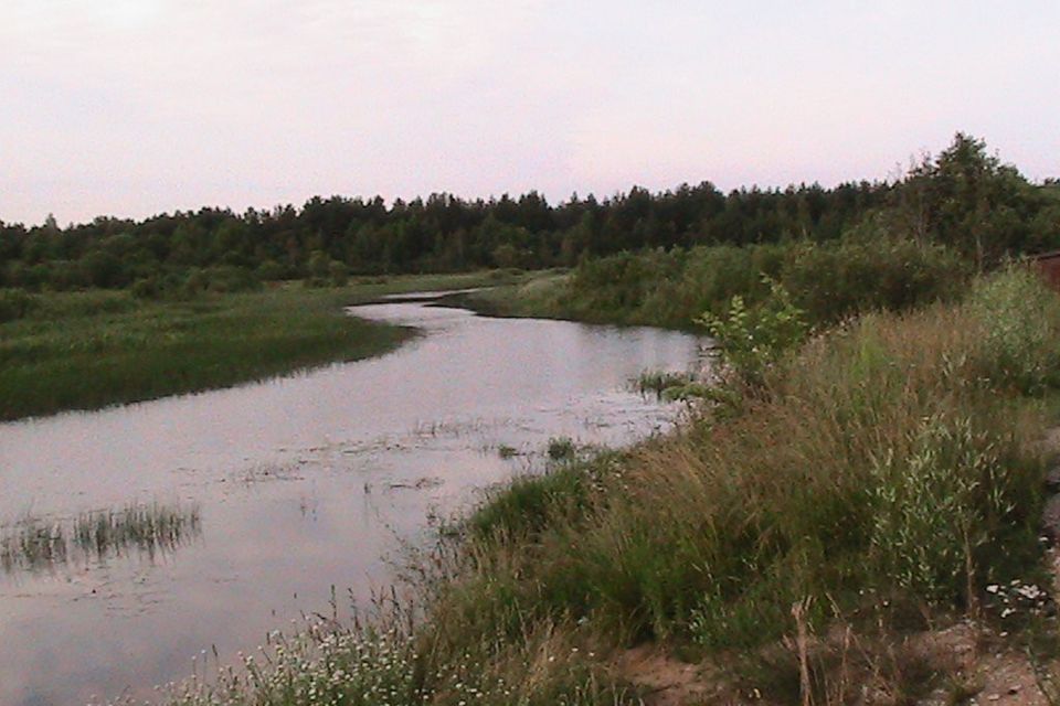 земля р-н Псковский фото 2