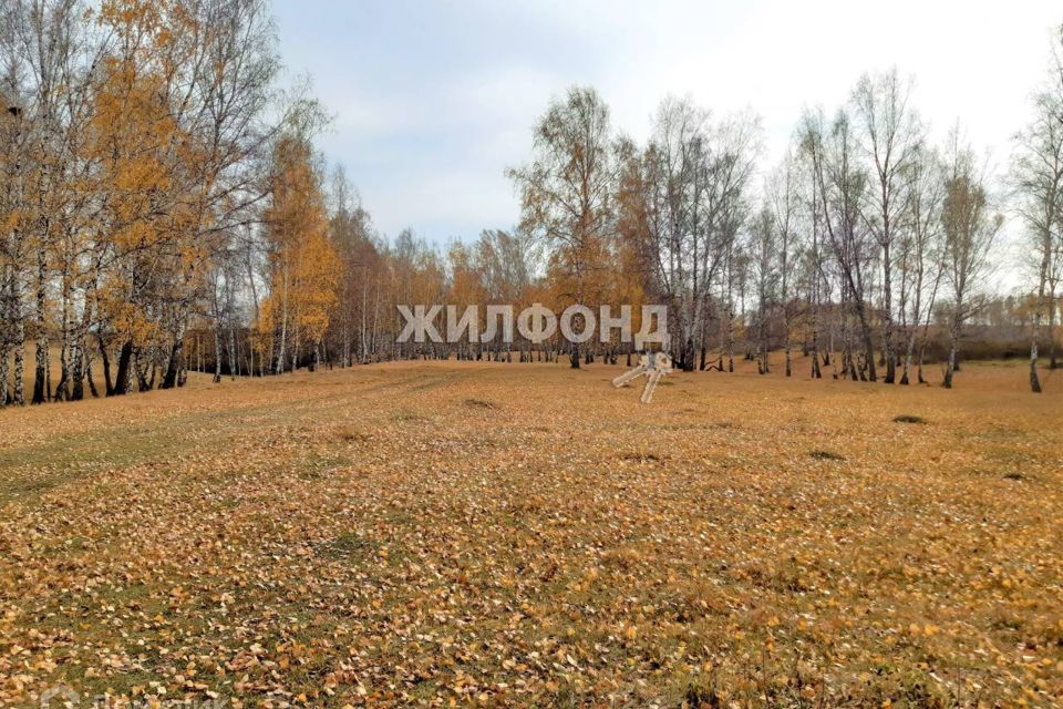 земля р-н Новосибирский с Пайвино ул Медовая фото 4