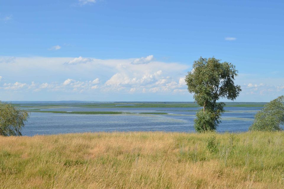 земля р-н Мензелинский фото 6