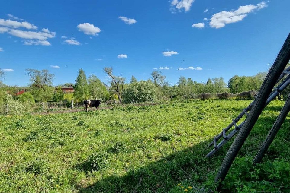 дом р-н Канашский д Караклы ул Доброва фото 5