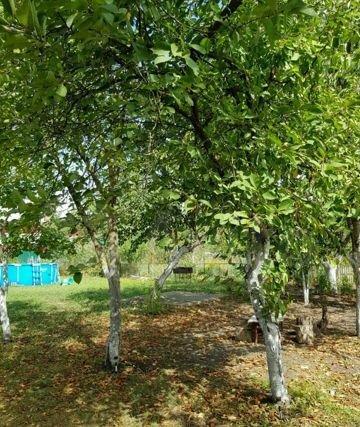 дом г Краснодар мкр им Петра Метальникова ул Ростовское Шоссе 17 фото 3