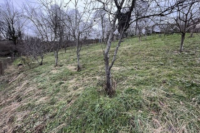 ул Веринская 33 с Казачий Брод р-н Адлерский внутригородской с Вардане-Верино фото