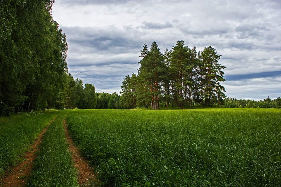 дом р-н Красноярский фото 3