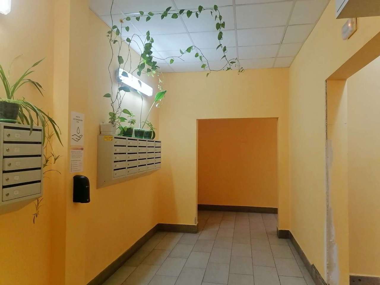 квартира г Белгород Западный ул Садовая 3а фото 14