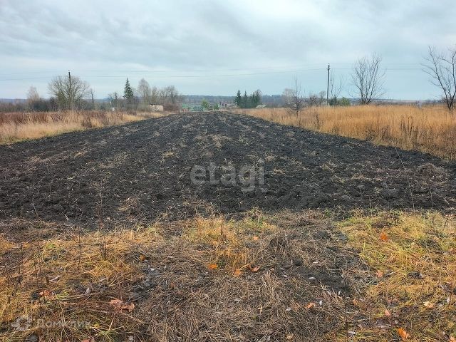 земля р-н Орловский д Нижняя Калиновка ул 1 Мая фото 1