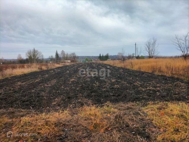 земля р-н Орловский д Нижняя Калиновка ул 1 Мая фото 3