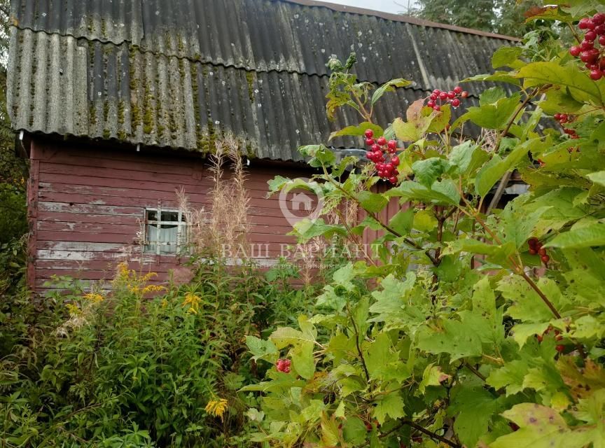 земля р-н Рыбинский фото 9