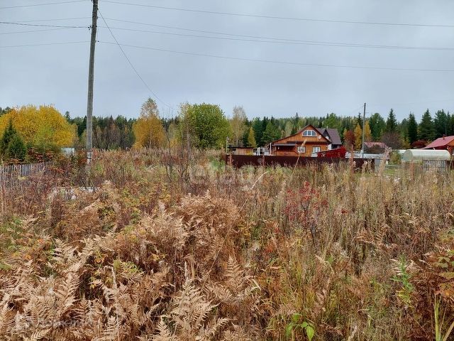 земля р-н Режевской г Реж фото 9