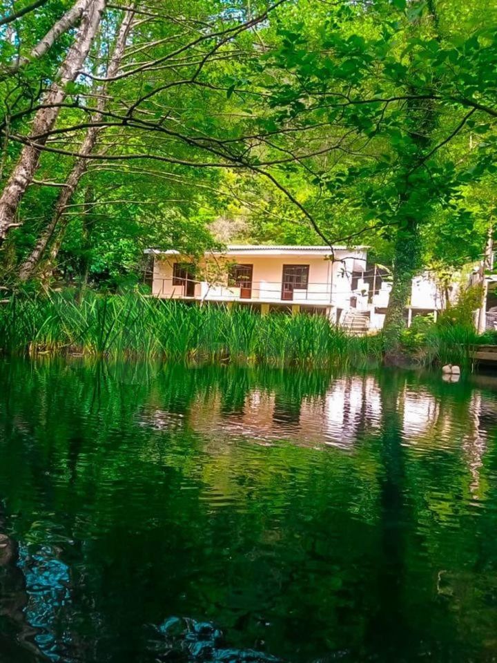 дом г Сочи р-н Лазаревский фото 3