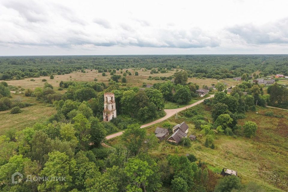 земля р-н Старорусский фото 2