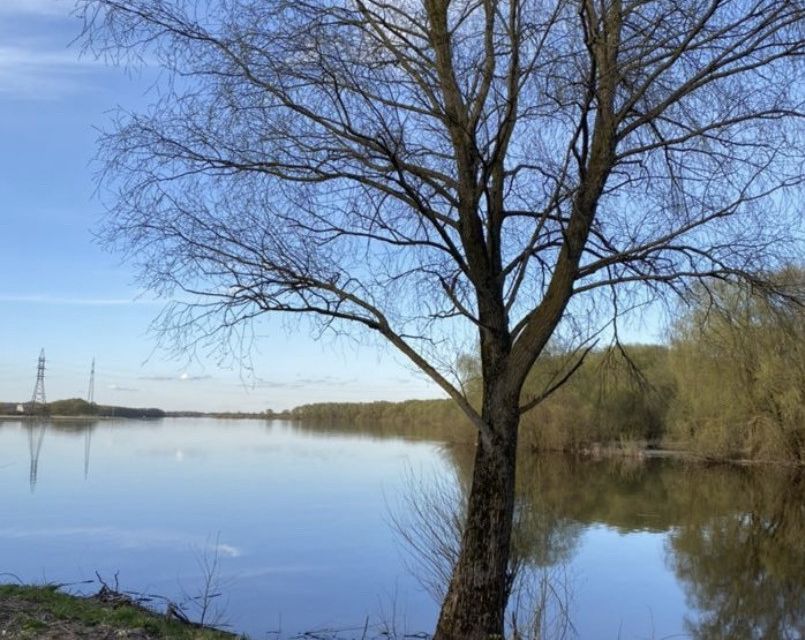 земля г Великий Новгород Деревяницы-2 ул Береговая 44/1 фото 1