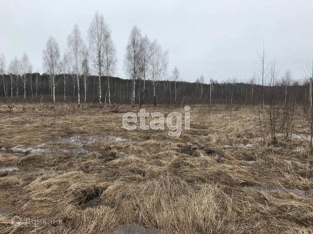 земля г Брянск р-н Володарский фото 1