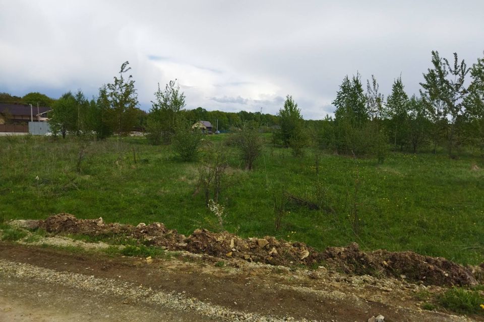 Алферьевка Пензенская область Сурское водохранилище
