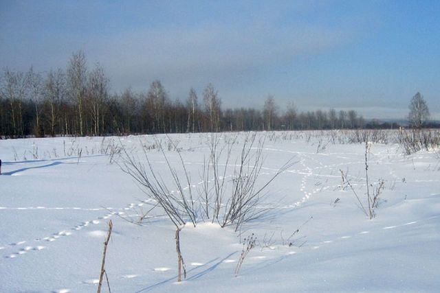 земля ул Слободская фото