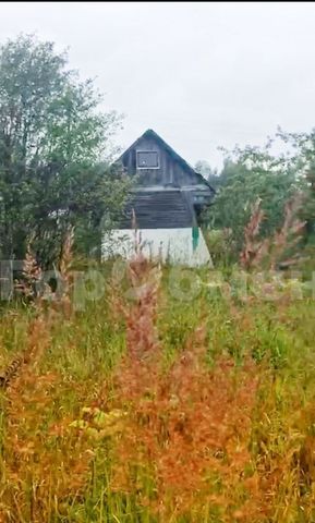 городской округ Пушкинский Софрино, СНТ Рассвет-1 фото