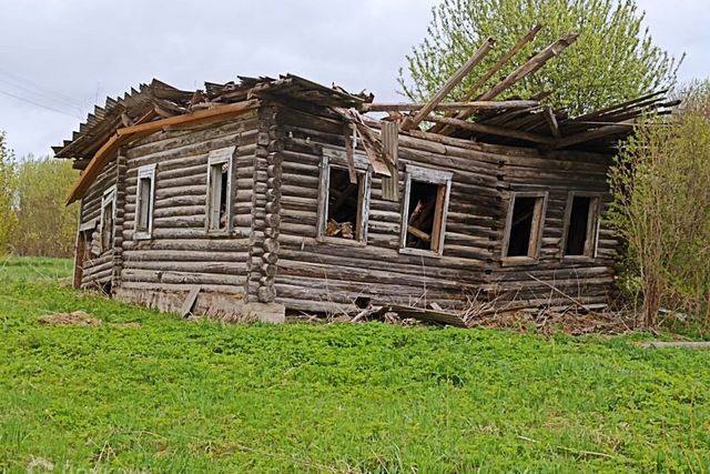 д Большие Ясковицы фото